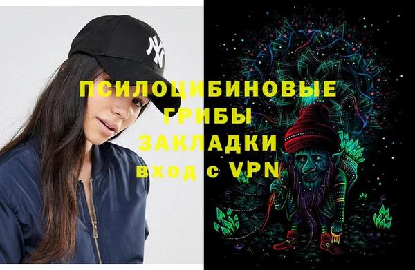 ешки Алзамай
